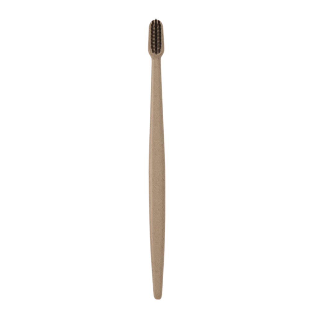Wheat-Straw Toothbrush