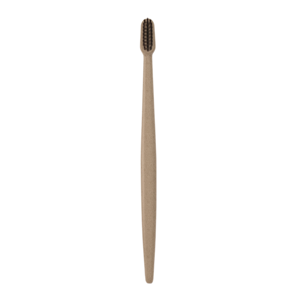 Wheat-Straw Toothbrush